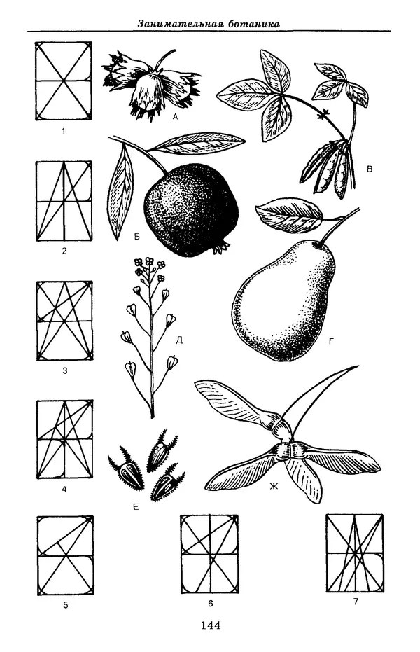 Валерий Рохлов - Занимательная ботаника - Страница № 144
