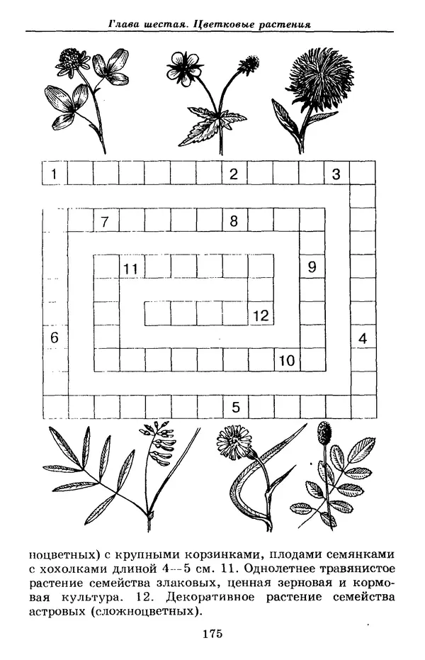 Валерий Рохлов - Занимательная ботаника - Страница № 175