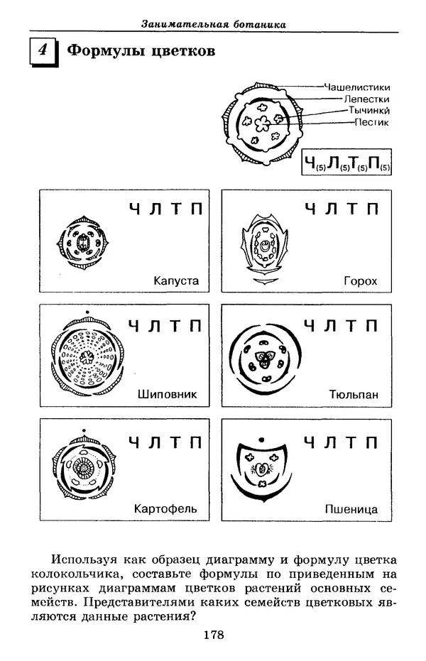 Валерий Рохлов - Занимательная ботаника - Страница № 178