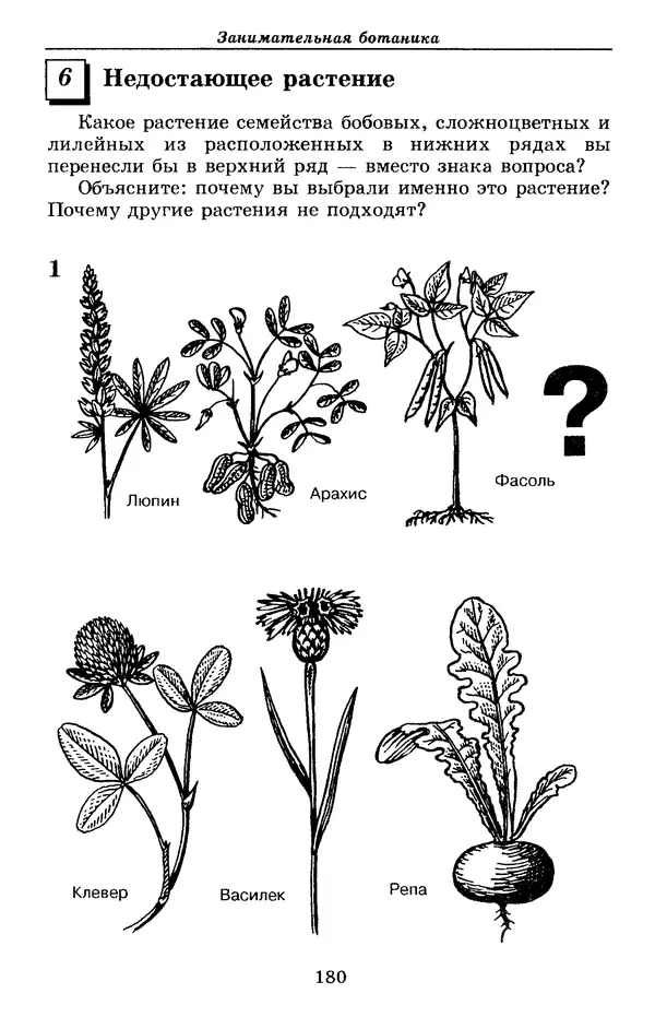 Валерий Рохлов - Занимательная ботаника - Страница № 180