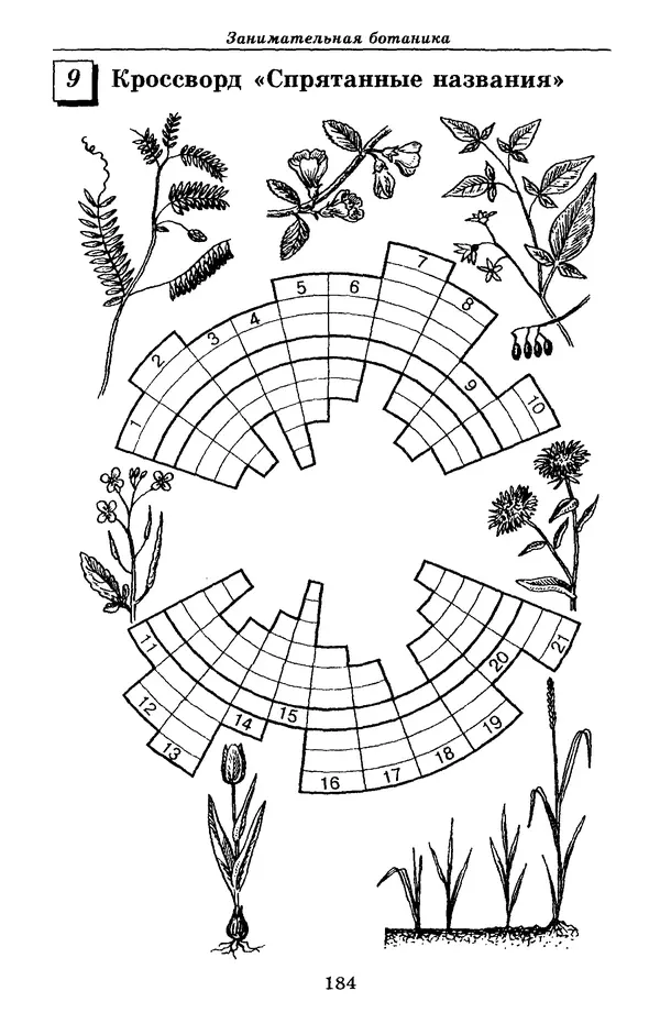 Валерий Рохлов - Занимательная ботаника - Страница № 184