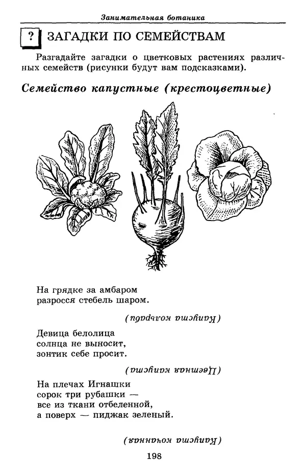Валерий Рохлов - Занимательная ботаника - Страница № 198