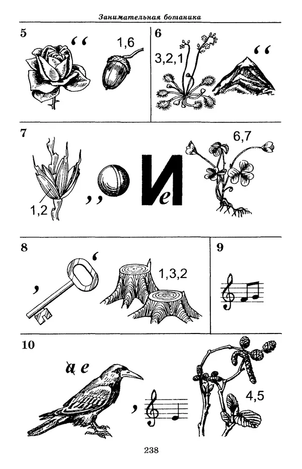 Валерий Рохлов - Занимательная ботаника - Страница № 238