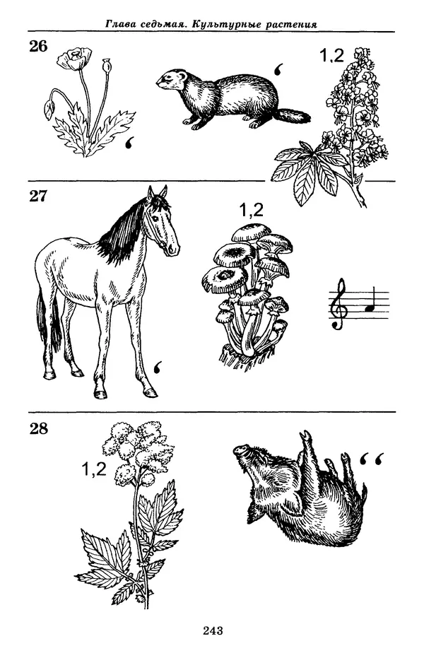 Валерий Рохлов - Занимательная ботаника - Страница № 243