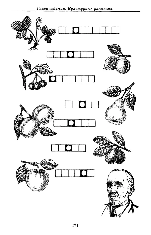 Валерий Рохлов - Занимательная ботаника - Страница № 271