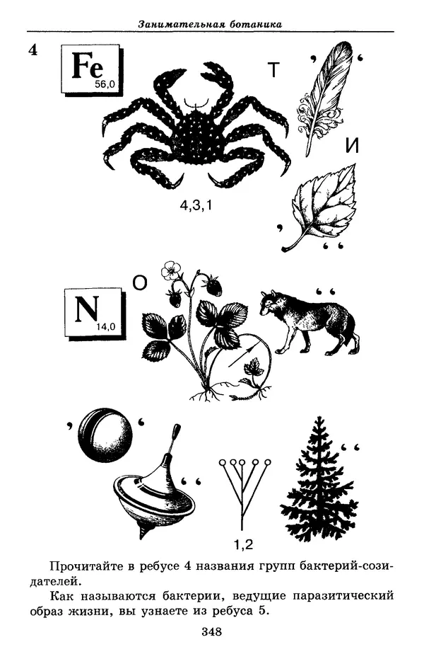 Валерий Рохлов - Занимательная ботаника - Страница № 348