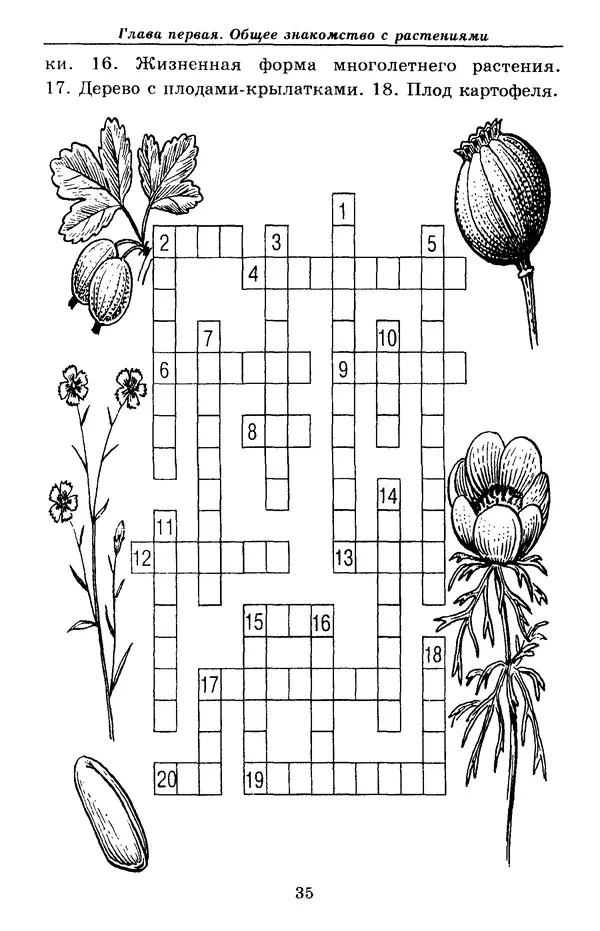 Валерий Рохлов - Занимательная ботаника - Страница № 35