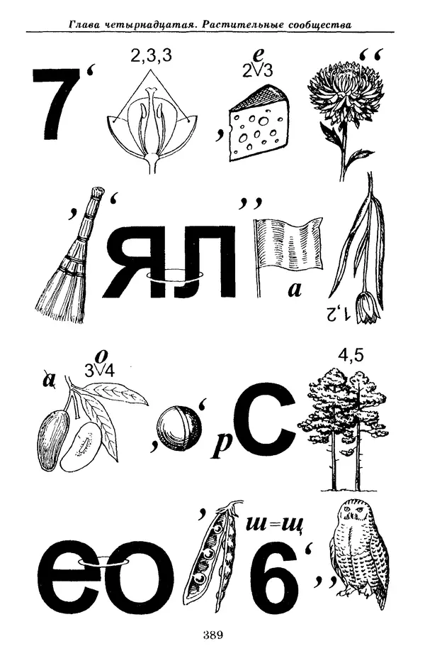 Валерий Рохлов - Занимательная ботаника - Страница № 389