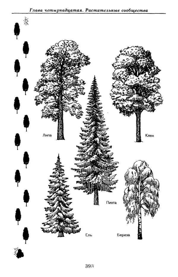 Валерий Рохлов - Занимательная ботаника - Страница № 393