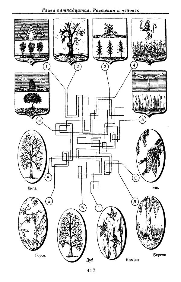 Валерий Рохлов - Занимательная ботаника - Страница № 417
