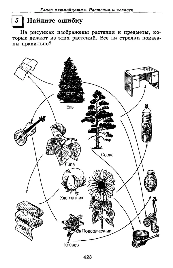 Валерий Рохлов - Занимательная ботаника - Страница № 423