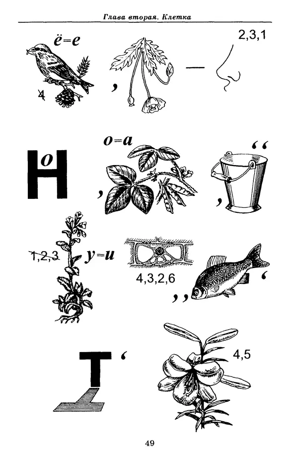 Валерий Рохлов - Занимательная ботаника - Страница № 49