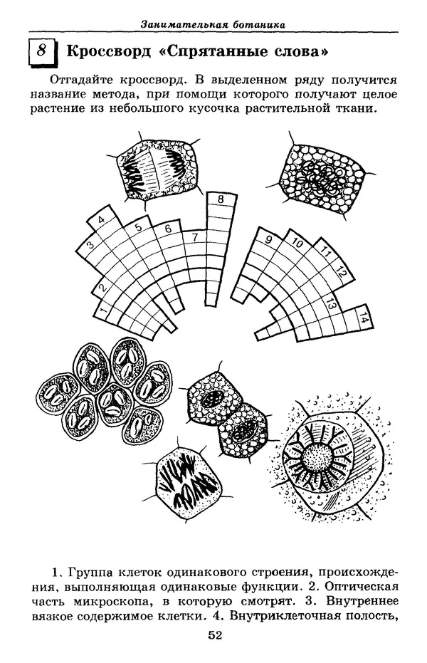 Валерий Рохлов - Занимательная ботаника - Страница № 52