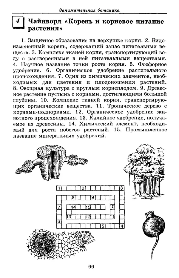 Валерий Рохлов - Занимательная ботаника - Страница № 66