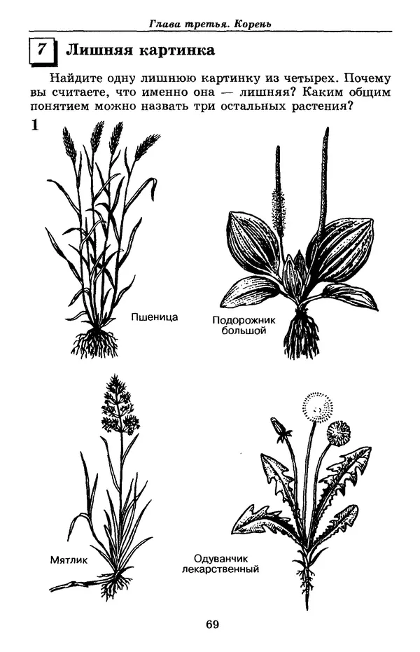 Валерий Рохлов - Занимательная ботаника - Страница № 69