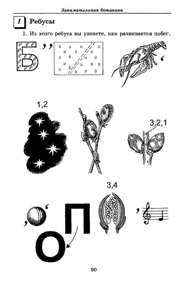 Валерий Рохлов - Занимательная ботаника - Страница № 90