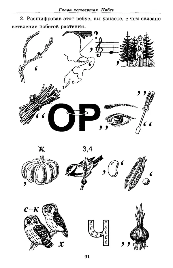 Валерий Рохлов - Занимательная ботаника - Страница № 91