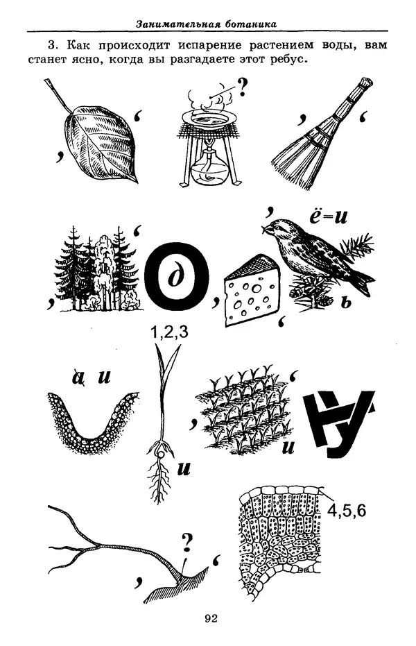 Валерий Рохлов - Занимательная ботаника - Страница № 92