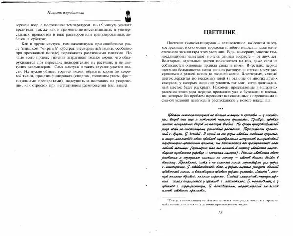 Дмитрий Семенов - Гимнокалициумы - Страница № 11