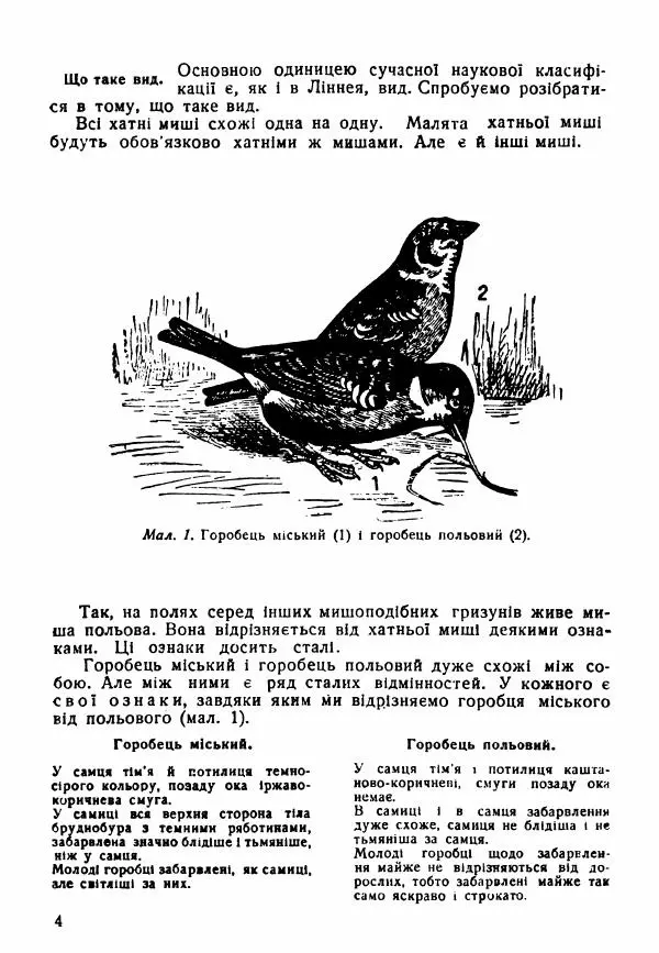 Моисей Цузмер - Зоологія - Страница № 6