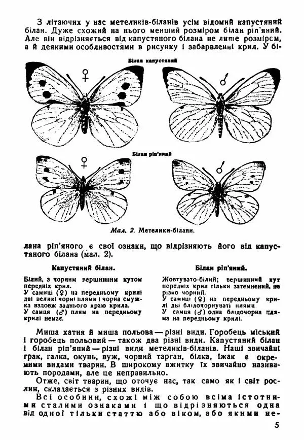 Моисей Цузмер - Зоологія - Страница № 7