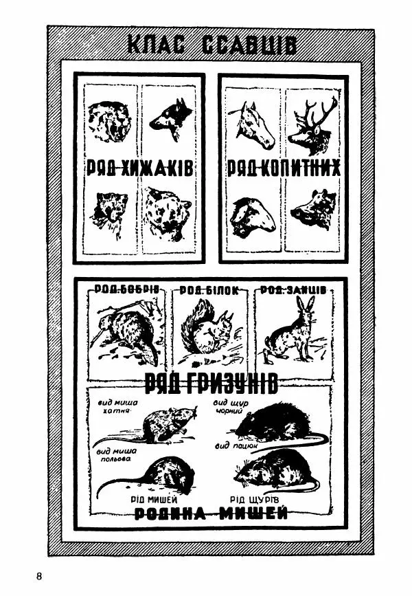 Моисей Цузмер - Зоологія - Страница № 10