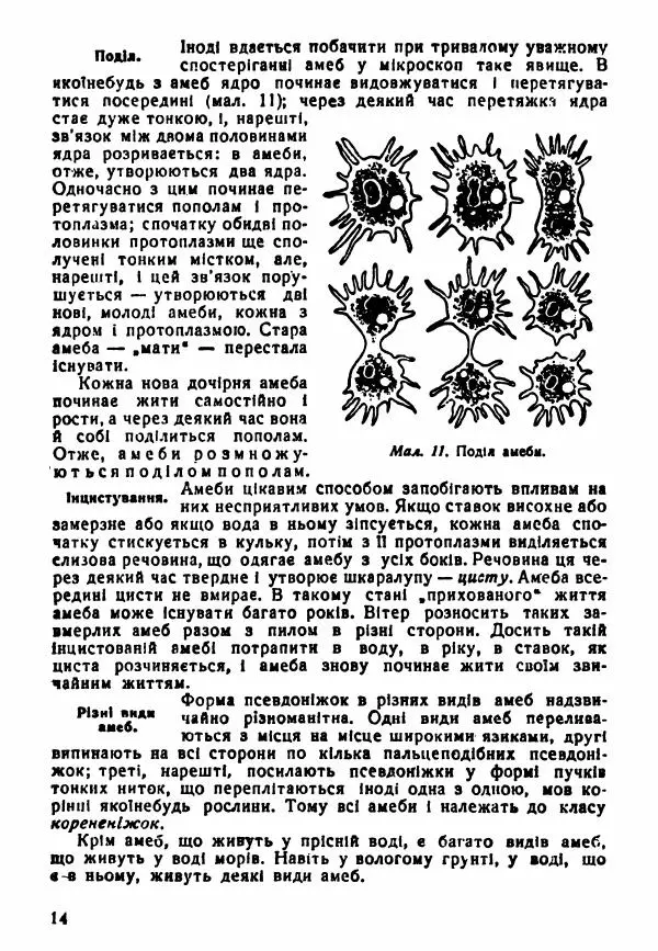 Моисей Цузмер - Зоологія - Страница № 16