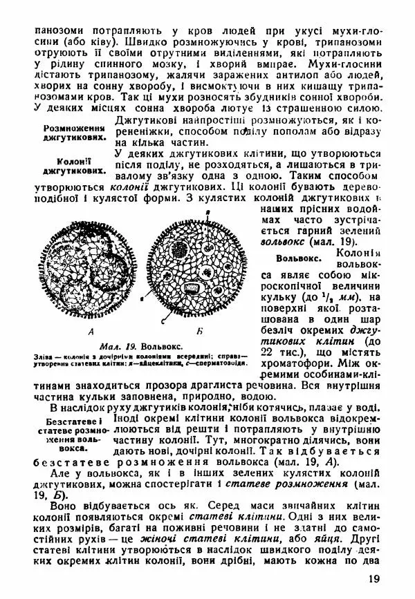 Моисей Цузмер - Зоологія - Страница № 21