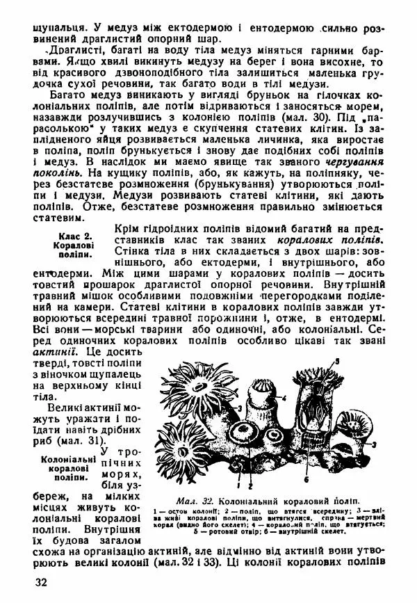 Моисей Цузмер - Зоологія - Страница № 34
