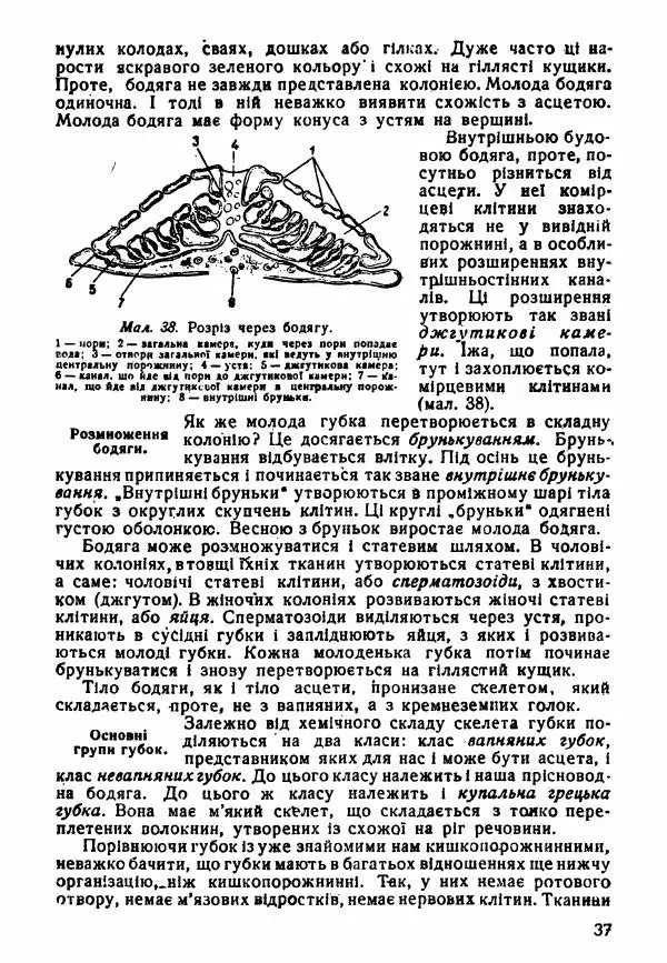 Моисей Цузмер - Зоологія - Страница № 39