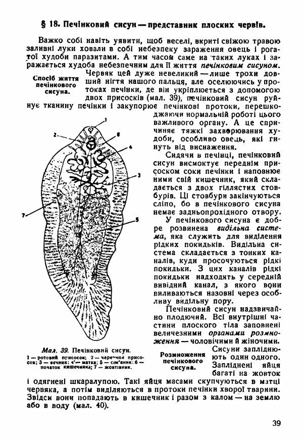 Моисей Цузмер - Зоологія - Страница № 41