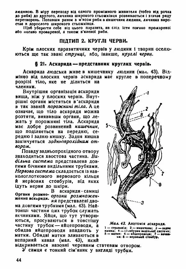 Моисей Цузмер - Зоологія - Страница № 46