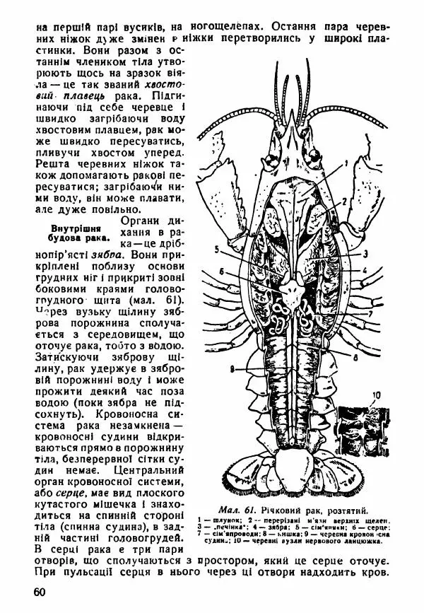Моисей Цузмер - Зоологія - Страница № 62
