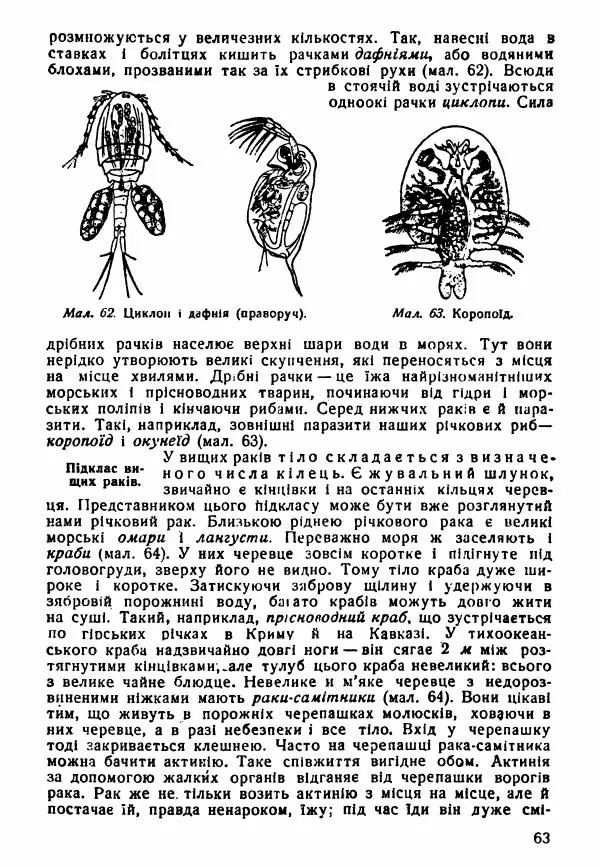 Моисей Цузмер - Зоологія - Страница № 65