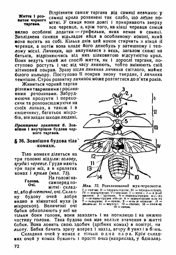 Моисей Цузмер - Зоологія - Страница № 74