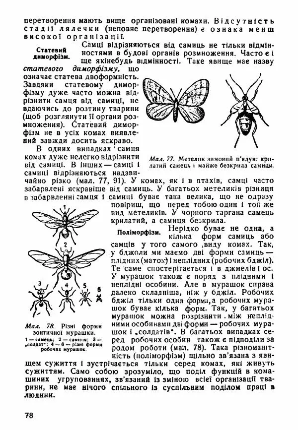 Моисей Цузмер - Зоологія - Страница № 80