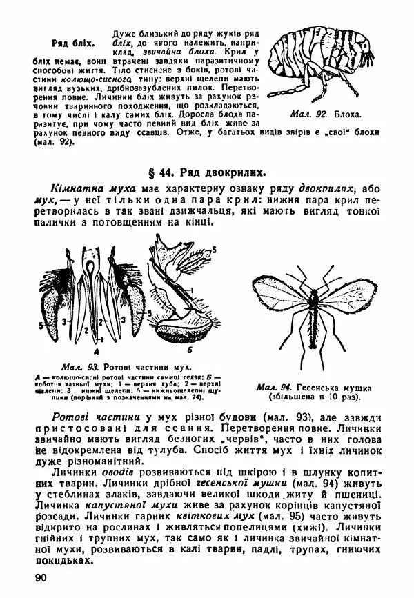 Моисей Цузмер - Зоологія - Страница № 92