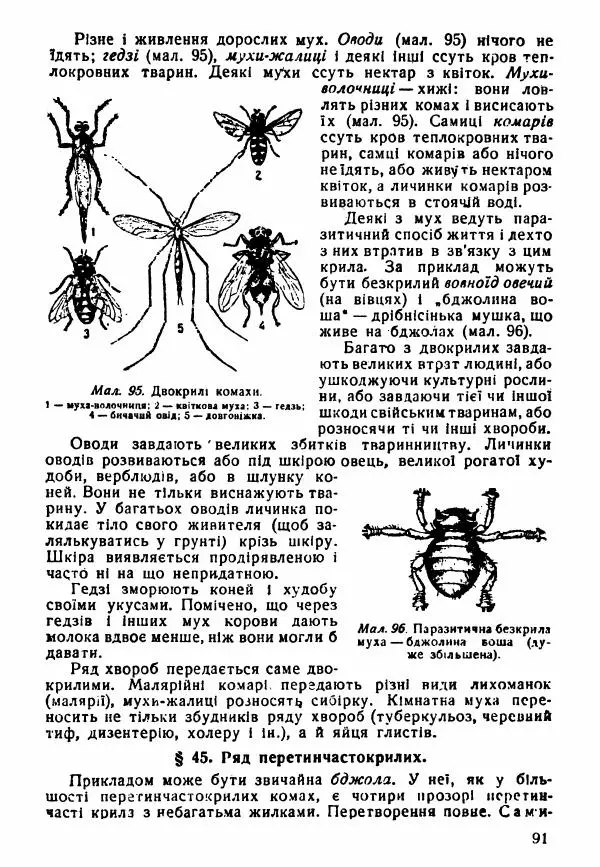 Моисей Цузмер - Зоологія - Страница № 93