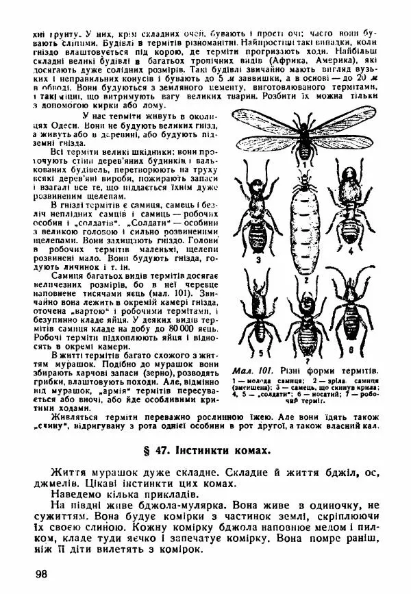 Моисей Цузмер - Зоологія - Страница № 100