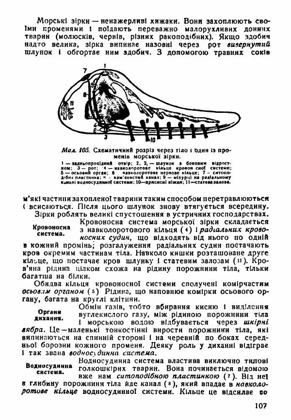 Моисей Цузмер - Зоологія - Страница № 109