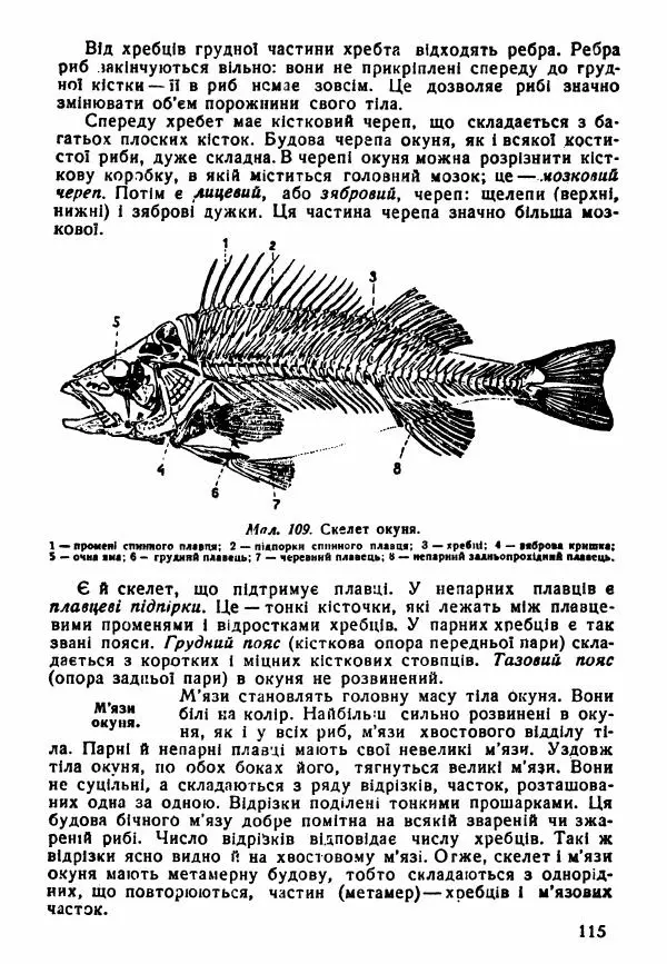 Моисей Цузмер - Зоологія - Страница № 117
