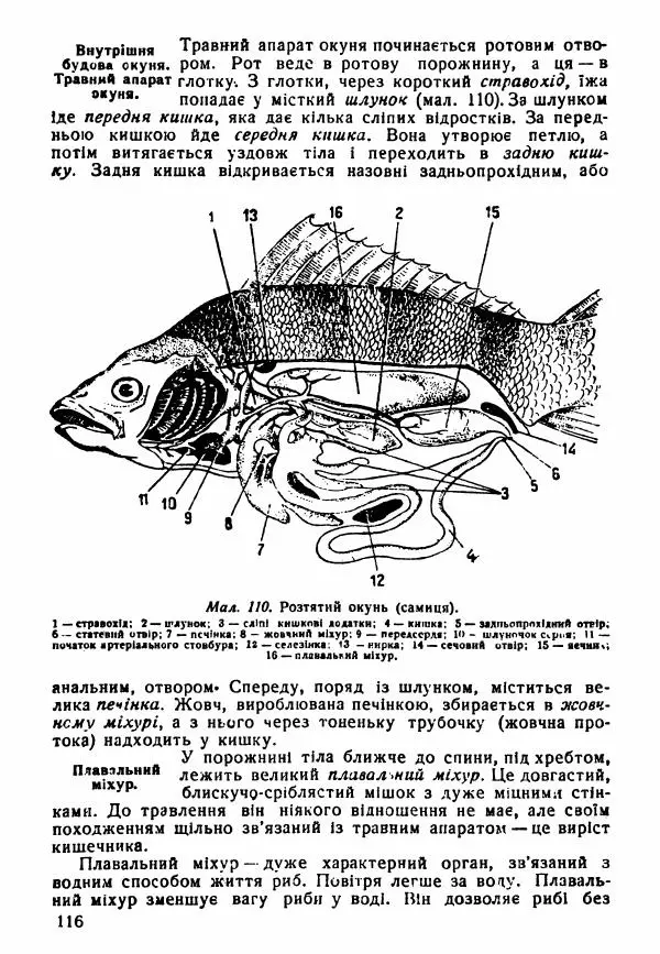 Моисей Цузмер - Зоологія - Страница № 118