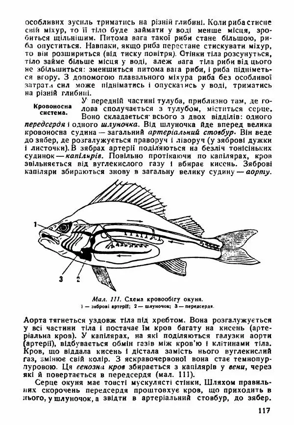 Моисей Цузмер - Зоологія - Страница № 119