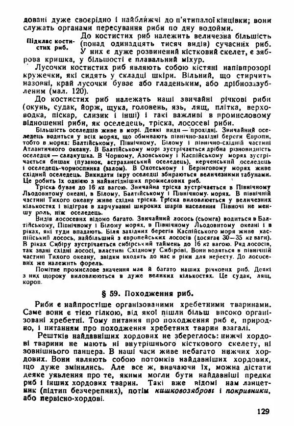 Моисей Цузмер - Зоологія - Страница № 131
