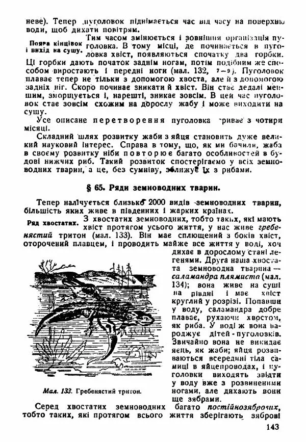 Моисей Цузмер - Зоологія - Страница № 145