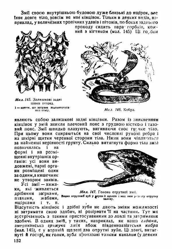 Моисей Цузмер - Зоологія - Страница № 154