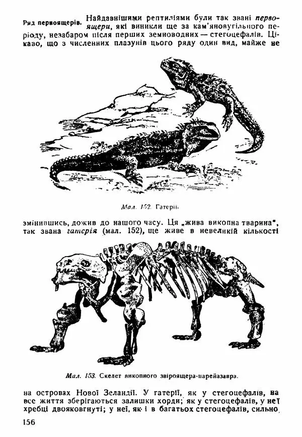 Моисей Цузмер - Зоологія - Страница № 158