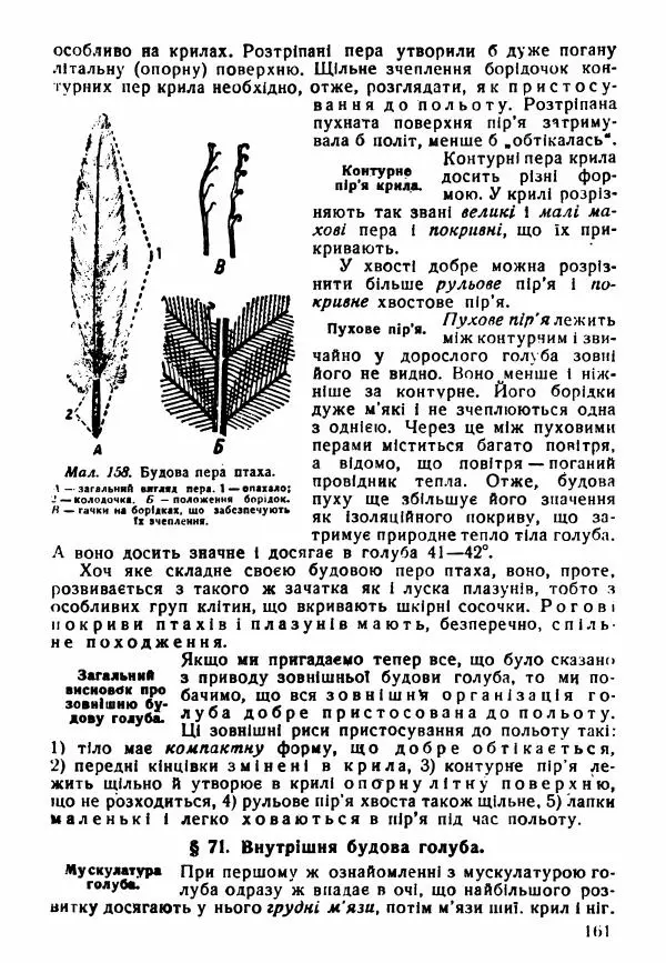 Моисей Цузмер - Зоологія - Страница № 163