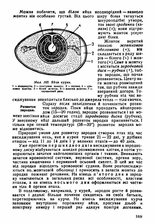 Моисей Цузмер - Зоологія - Страница № 171
