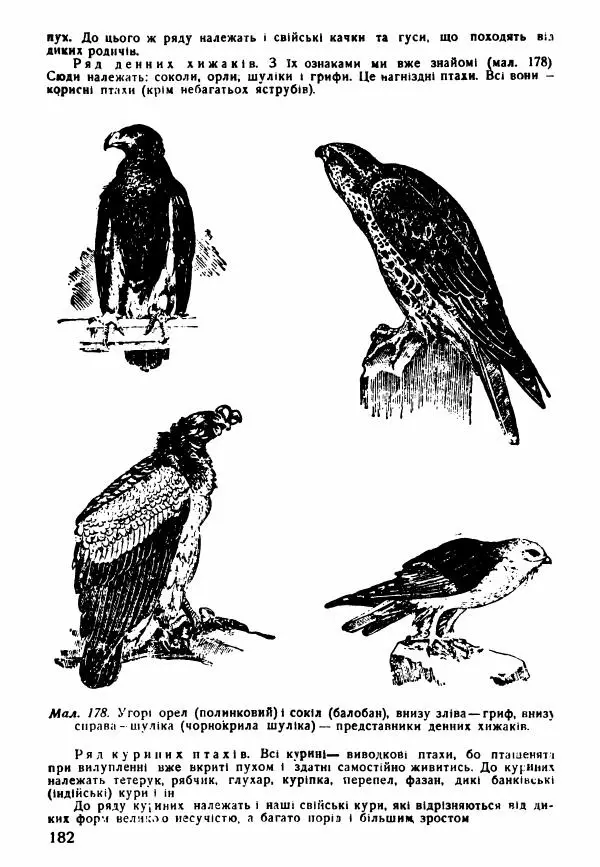 Моисей Цузмер - Зоологія - Страница № 184